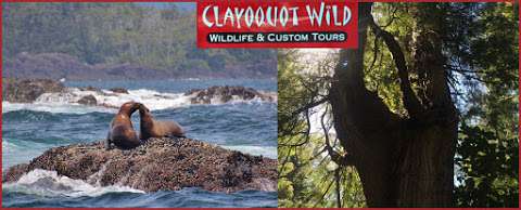 Clayoquot Wild