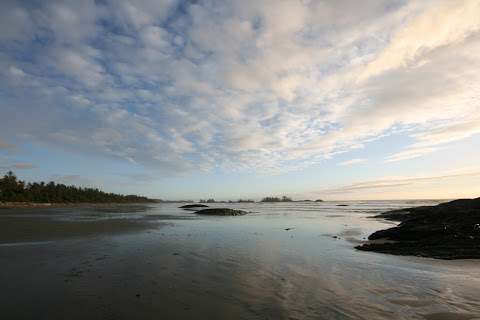Tofino Guide Tofino Guide