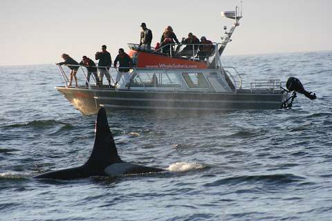 West Coast Aquatic Safaris West Coast Aquatic Safaris